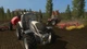 Доповнення Farming Simulator 19 - Platinum Expansion для ПК (Ключ активації Steam) - зображення 6