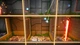 Игра Wreckin' Ball Adventure для ПК (Ключ активации Steam) - изображение 5