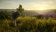 Дополнение TheHunter: Call of the Wild - Cuatro Colinas Game Reserve - Europe для ПК (Ключ активации Steam) - изображение 3