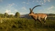 Дополнение TheHunter: Call of the Wild - Cuatro Colinas Game Reserve - Europe для ПК (Ключ активации Steam) - изображение 4