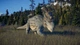 Дополнение Jurassic World Evolution 2: Deluxe Upgrade Pack для ПК (Ключ активации Steam) - изображение 3