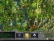 Игра Age of Wonders Shadow Magic для ПК (Ключ активации Steam) - изображение 3