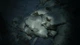 Игра Kholat для ПК (Ключ активации Steam) - изображение 5