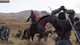 Игра Mount & Blade II: Bannerlord для ПК (Ключ активации Steam) - изображение 5