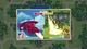 Игра Wargroove для ПК (Ключ активации Steam) - изображение 5