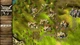 Игра Knights and Merchants для ПК (Ключ активации Steam) - изображение 5