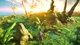 Игра Outcast: Second Contact для ПК (Ключ активации Steam) - изображение 2