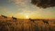 Дополнение TheHunter: Call of the Wild - Vurhonga Savanna - Europe для ПК (Ключ активации Steam) - изображение 5
