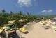 Игра Tropico 3: Gold Edition для ПК (Ключ активации Steam) - изображение 2
