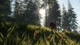 Доповнення TheHunter: Call of the Wild - Bloodhound - Europe для ПК (Ключ активації Steam) - зображення 3