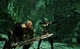 Игра Hunted: The Demon’s Forge для ПК (Ключ активации Steam) - изображение 2