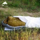 Чохол антиконденсаційний для спального мішка 3F UL GEAR Bivy B TYVEK White - изображение 4