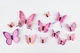 Метелики для декору 12 штук 3D Butterflies Rose - зображення 3