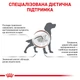 Сухий корм для собак Royal Canin GastroIntestinal при порушенні травлення 2 кг - изображение 3