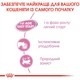 Влажный корм Royal Canin Mother & Babycat Ultra Soft Mousse для котят с момента отъема до 4 мес. 195 г (арт 4098002) - изображение 4