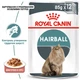 Вологий корм для дорослих котів ROYAL CANIN HAIRBALL CARE, для виведення грудочок шерсті, 85 г - изображение 2