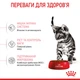 Корм для стерилізованих котят ROYAL CANIN KITTEN STERILISED 2 кг - зображення 4