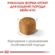 Корм для кошенят породи Мейн-Кун ROYAL CANIN MAINECOON KITTEN 400 г (2558004) - изображение 4