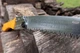 Професійна складана пилка Silky GomBoy Curve 210 мм, з великими зубами (717-21) - зображення 5