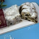 Штолен рождественский кекс Christstollen пирог с марципаном 200 г - изображение 2