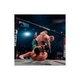 UFC 5 (английская версия) (PS5) - изображение 4