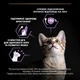 Сухий корм PRO PLAN Kitten Healthy Start для кошенят з куркою 1,5 кг - изображение 4
