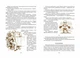 Одиниця з обманом - Нестайко В.- Школа (106441) - зображення 3