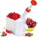 Машинка для удаления косточек Helfer Hoff Cherry and Olive Corer - изображение 1