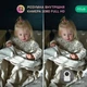 Умная камера Nous W2 - изображение 4