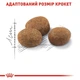 Сухой корм для стареющих стерилизованных кошек Royal Canin STERILISED 7+ 10 кг (3182550805629) - изображение 5