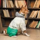 Костюм для животных Pet Fashion Pf Style S (4823082427956) - изображение 6