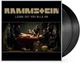 Виниловая пластинка Rammstein - Liebe Ist Fur Alle Da (2LP) - изображение 3