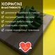 Помело сушеный с сахаром 500 г NOS (Pom-R-500) - изображение 2