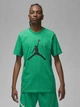 Футболка мужская Nike M Jordan Jumpman Ss Crew CJ0921-310 XL Lucky Green/Black (196156308296) - изображение 1