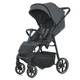 Коляска прогулянкова El Camino ME 1113 FIJI Iron Matt - изображение 1