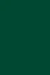 Фон бумажный Savage Widetone Evergreen рулон 2.72x11 м (18-12) - изображение 3