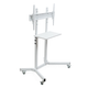 Стойка для телевизора Sector T10 White напольная 37"-70" нагрузка 40кг - изображение 1
