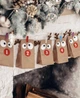 Адвент календар Hey Funday Веселі олені (HEYADVVESOL) - изображение 1