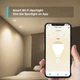 Умный цветной Wi-Fi прожектор TP-LINK Tapo L610 - изображение 3