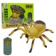 Павук Тарантул на радіокеруванні, коричневий - Maya Toys (8901) - зображення 2