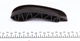 Цепь ГРМ INA 559003010 BMW 3 Series, 5 Series, 1 Series, X6, X3, 2 Series, 6 Series, 7 Series, X5, X1, 4 Series, X4 11317797897, 11318506650, 11318510014 - изображение 6