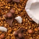 Гранола Шоколад Кокос Gregory Mill Chocolate Coconut, 250 г GM-02-02 - зображення 3