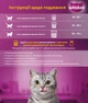 Упаковка сухого корма для котов Whiskas с ягненком 14 х 300 г (5998749106020/5900951304743) - изображение 4