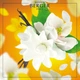 Аромат-наповнювач (Лампа Берже) Maison Berger Heavenly Sun 500 ml. (115363-BER) - изображение 4