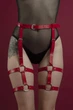 Гартеры Feral Feelings Garter S-XL Красный ( SO3449 ) - изображение 1