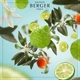 Аромат-наповнювач (Лампа Берже) Maison Berger Radiant Bergamot 500 ml. (115341-BER) - изображение 3
