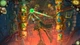 Ключ активации Witch's Pranks: Frog's Fortune - Collectors Edition для Xbox One/Series S/X - изображение 10
