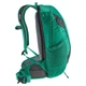 Спортивный рюкзак Deuter Race X 12 Fern-Graphite (3204221 2437) - изображение 4