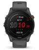 Смарт-годинник Garmin Forerunner 255 Slate (010-02641-43) - зображення 2