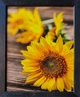 Фотокартина в дерев'яній рамі Sun flower 2 20х25 см POS-2025-091 - зображення 1
